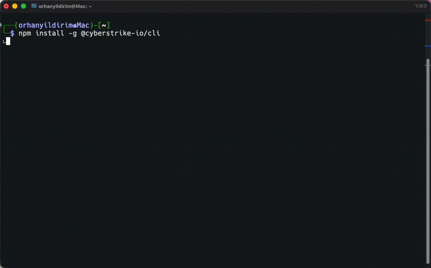 Cyberstrike installation and first run