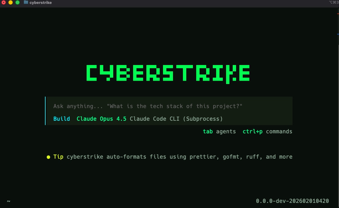 Cyberstrike TUI after installation